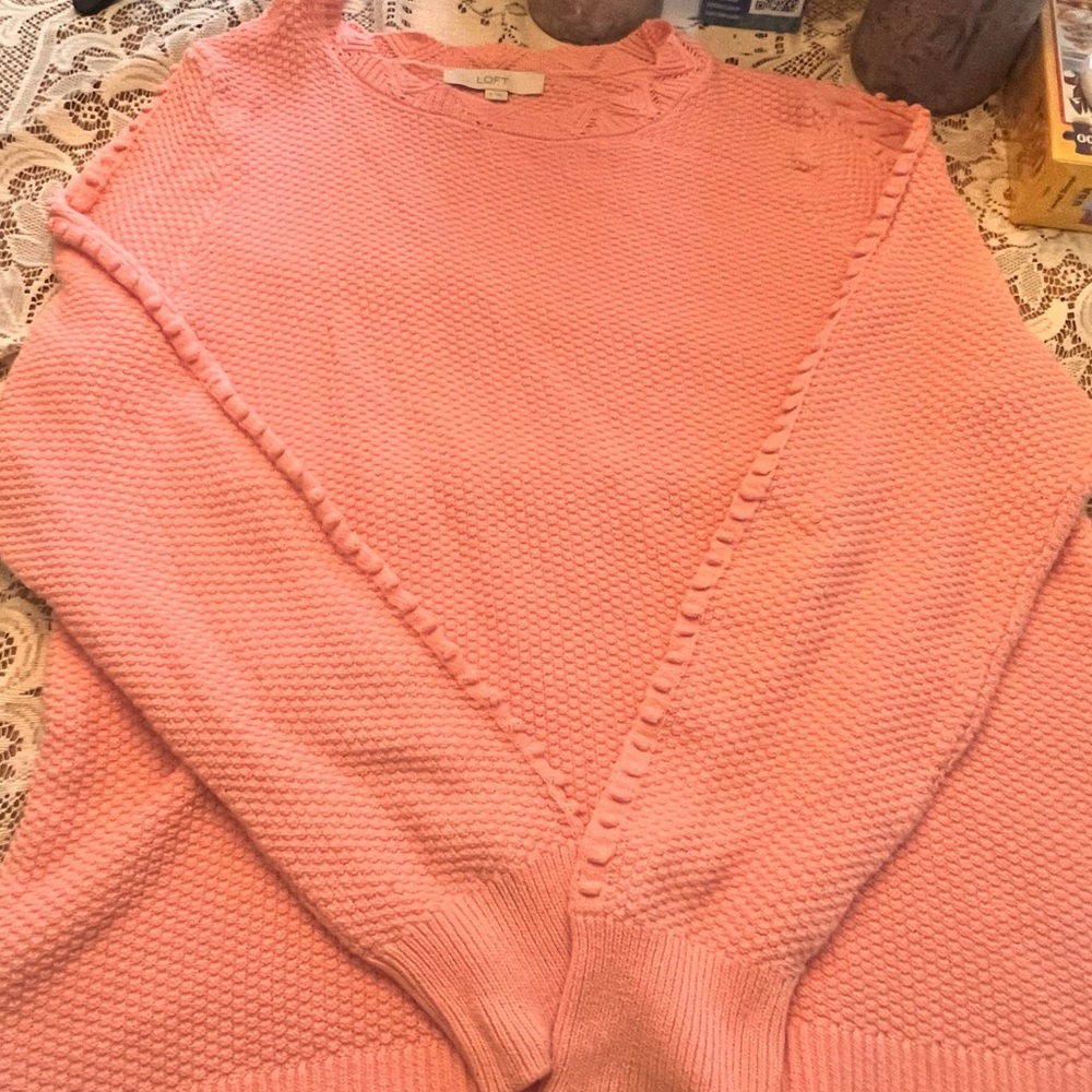 XL LOFT Sweater